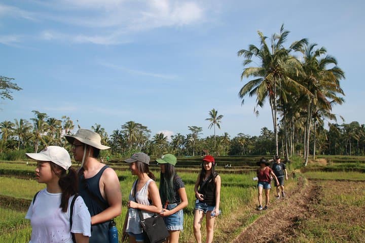Trekking and Sightseeing tour with lunch — photo 1 of 21