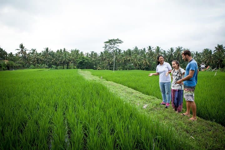 Half-Day Ubud Heritage Food Tour — photo 1 of 6