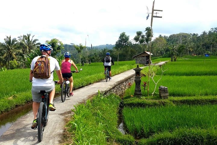 Electric Cycling Tour of Ubud with Free Hotel Transfer and Lunch — photo 1 of 15