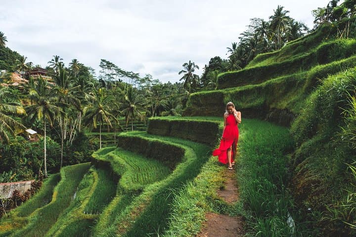 Bali Romantic: Ubud and Tanah Lot Tour — photo 1 of 8