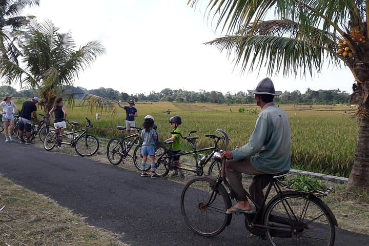Kaba Kaba Reason for Harmony Cycling — photo 1 of 9