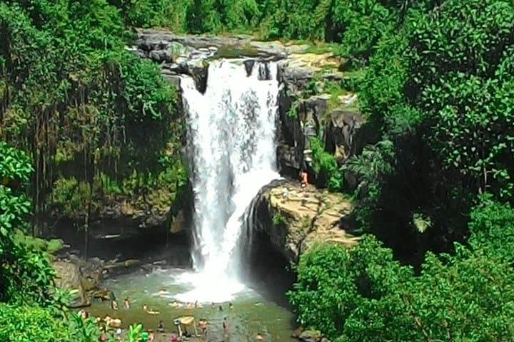Bali Hindu temple, Rice terrace, Waterfall -All Inclusive — photo 1 of 12