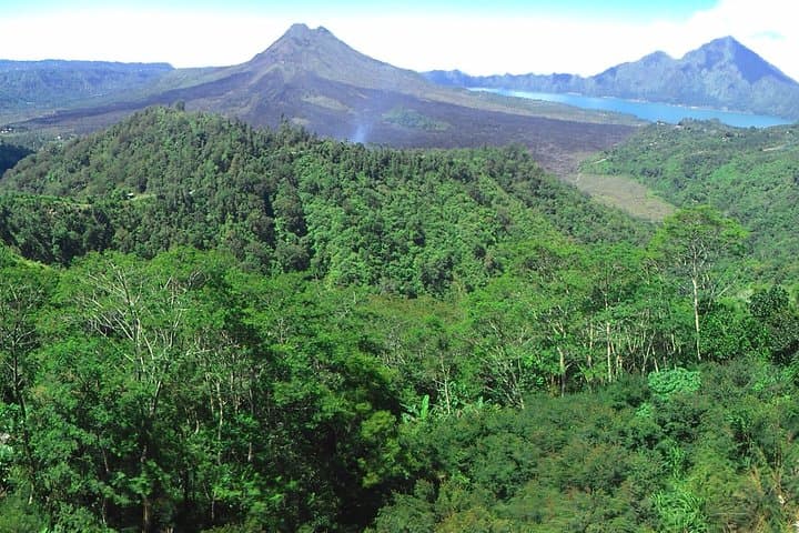 Bali Ubud & Kintamani Volcano Tour -All Inclusive — photo 1 of 18