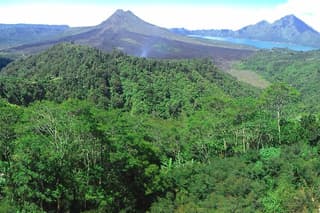 Bali Ubud & Kintamani Volcano Tour -All Inclusive