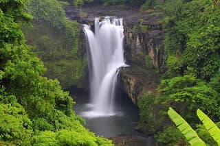 Bali Highlights Private Tour with Elephant Cave and Rice Field