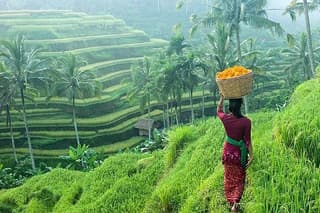 Private Day Ubud Art and Culture Tour