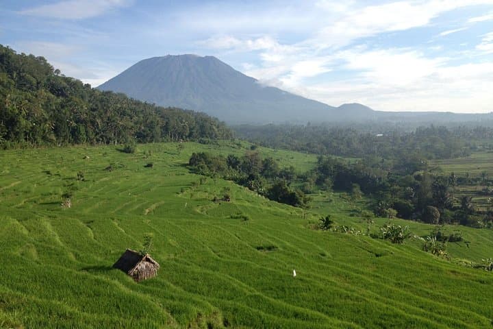Tenganan Village Rice Field Trekking Tour — photo 1 of 3