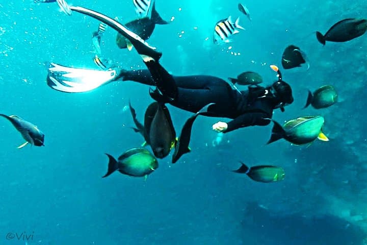 Snorkeling Package at Tulamben Liberty Shipwreck — photo 1 of 7
