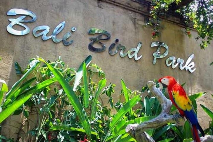 Private Tour Bali Bird Park And Ubud Tour — photo 1 of 8