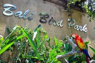 Private Tour Bali Bird Park And Ubud Tour