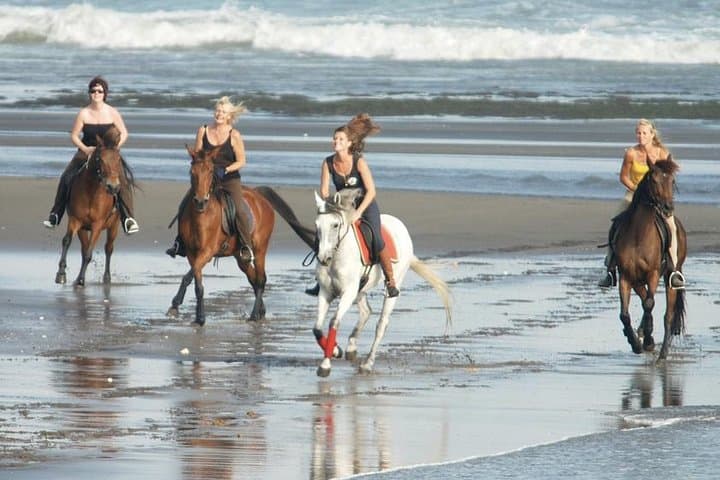 Horse Riding With Sunrise View Of Black Sand Beach — photo 1 of 6