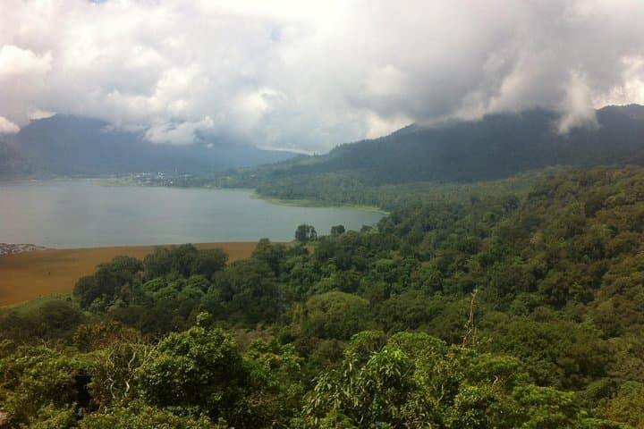 Jungle Trekking Tour with Tamblingan Lake Canoeing — photo 1 of 7