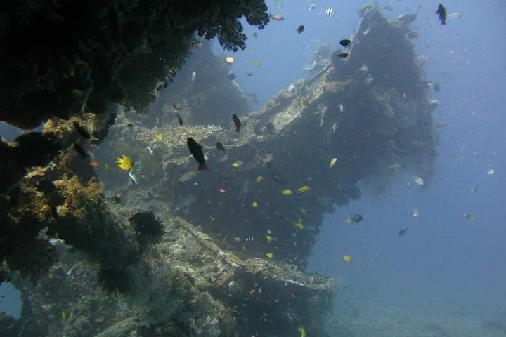 2 PADI Certified Dives at Tulamben from Bali — photo 1 of 6