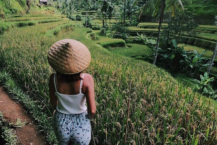 Highlights of Ubud: Nature, Rice Terrace, Waterfall, Temple and more — photo 1 of 6