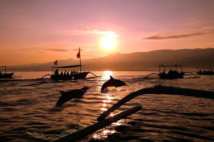 Dolphin Tour and Sunrise Watching in Lovina Beach - All Inclusive — photo 1 of 10