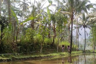 Mount Batur to Ubud – Light Off Road Cycling Adventure