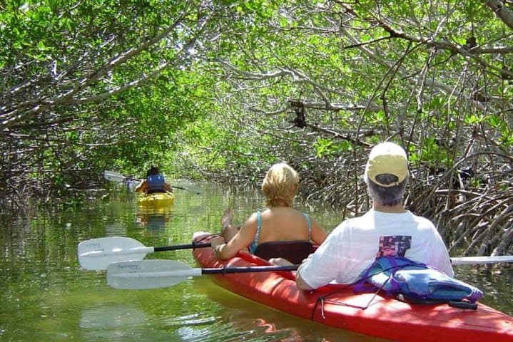 Mangrove Forest Bali Canoe Eco Tour — photo 1 of 9