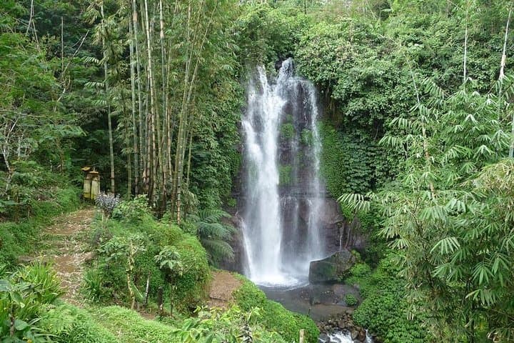 Munduk Waterfalls Trekking Tour — photo 1 of 8