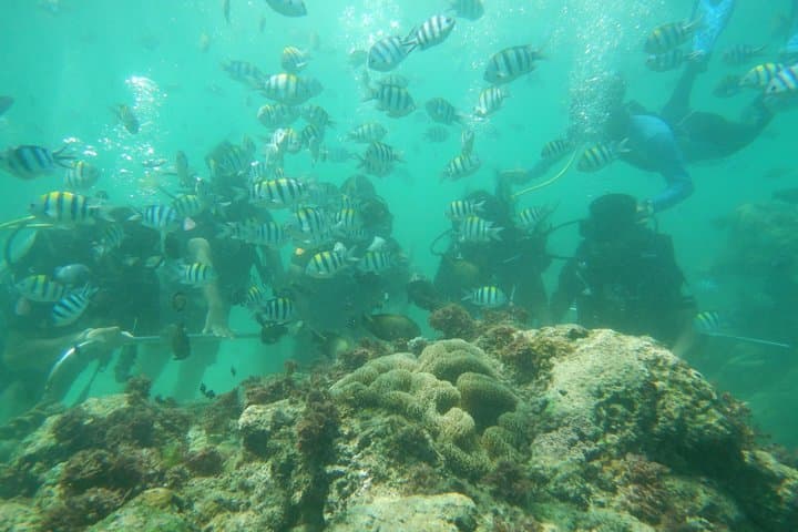 Bali Beaches Hopping - Uluwatu Temple — photo 1 of 27