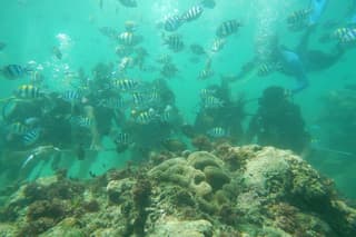 Bali Beaches Hopping - Uluwatu Temple
