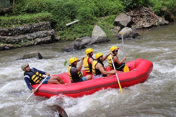 Half-Day Whitewater Rafting with Ubud Hotel Transfers — photo 1 of 10