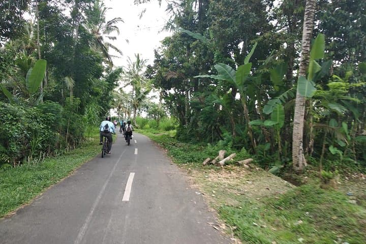 Bali Cycling with ATV Quadbike — photo 1 of 10