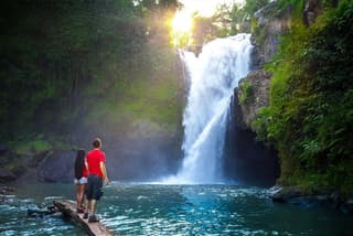 Ubud Experience