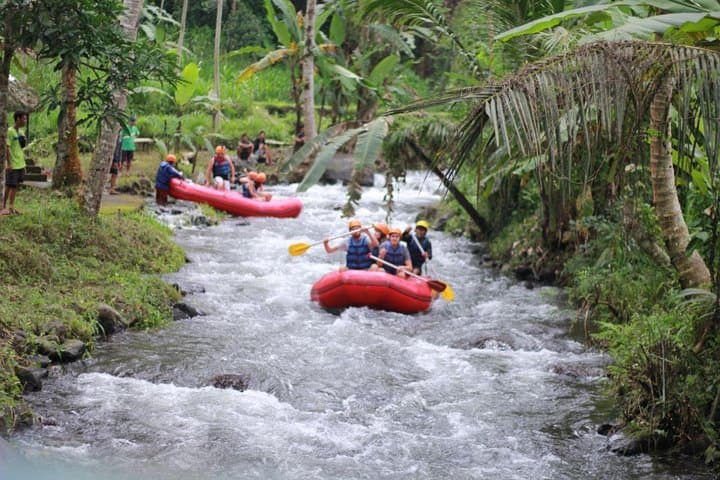 Bali Rafting with Flying Fox — photo 1 of 8