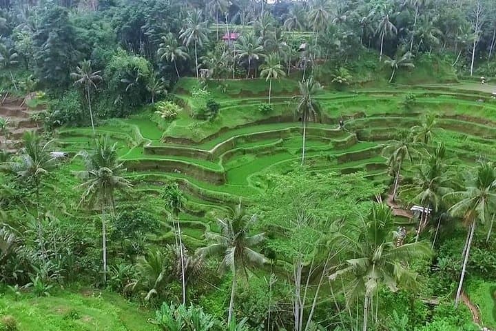 Full Day Bali Private Top Tour Attractions 10-12 hours — photo 1 of 6