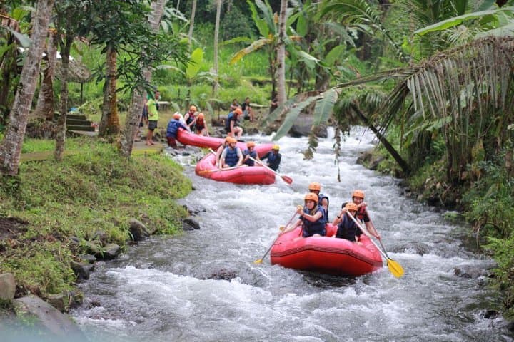 Bali Rafting with Ubud Tour — photo 1 of 6