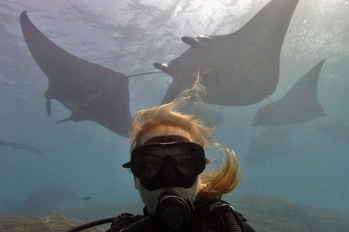 Try Diving at Manta Point Nusa Penida for non-certified divers — photo 1 of 3