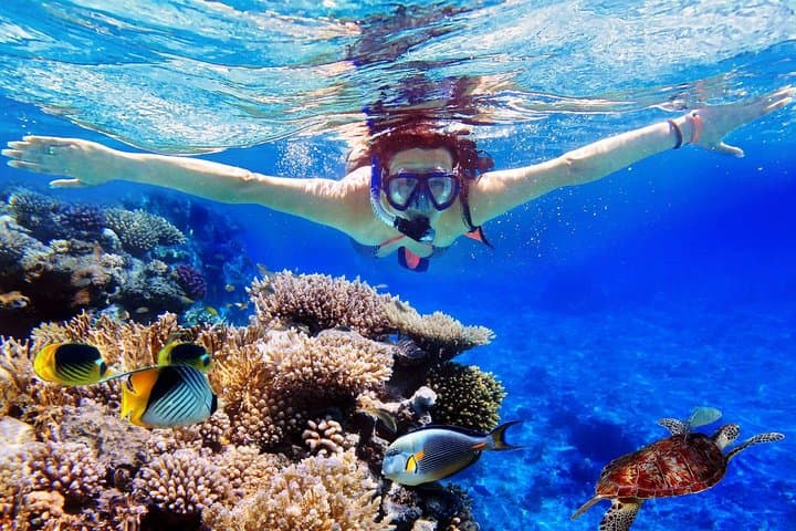 Bali Menjangan Island Snorkeling Day Tour — photo 1 of 9
