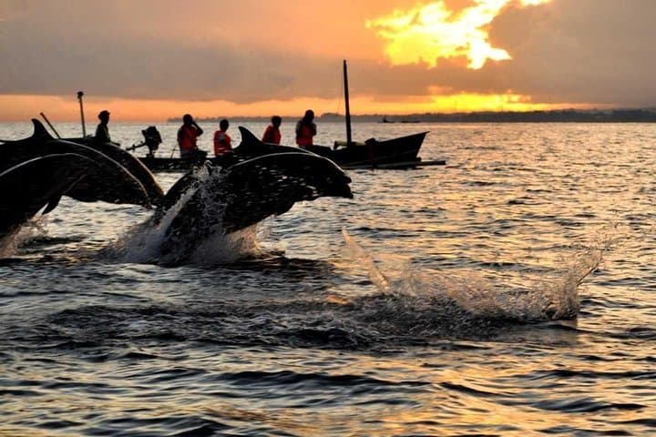 Sunrise Dolphin Wacthing & Menjangan Island Snorkeling Day Trip — photo 1 of 8