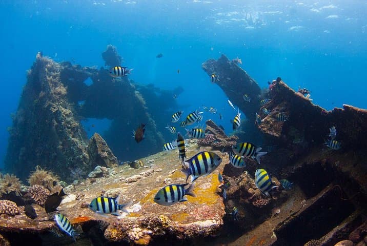 Shipwreck Diving At Tulamben — photo 1 of 7