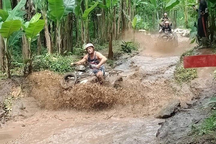 No. 1. Of ubud activites tour - Bali — photo 1 of 28