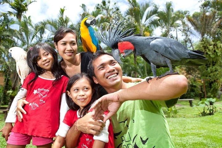 Bali Bird Park Admission Ticket with Hotel Transfer — photo 1 of 21