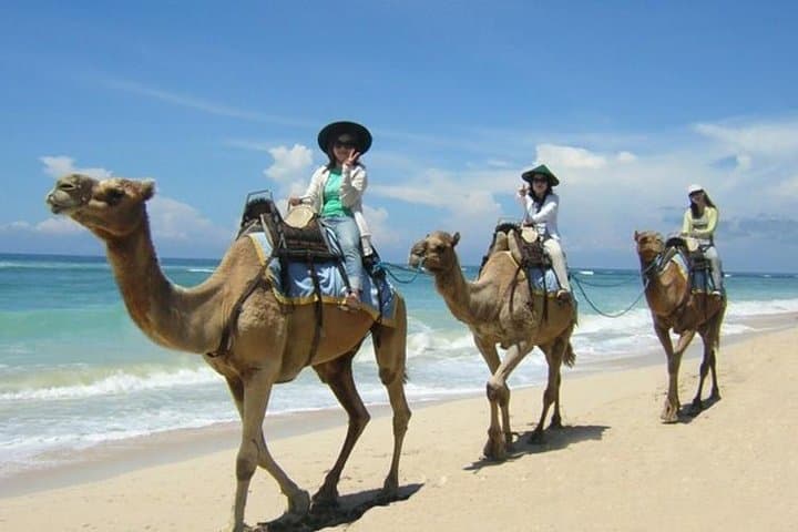 Camel Safari One Hour In White Sand Beach And Uluwatu Temple — photo 1 of 6