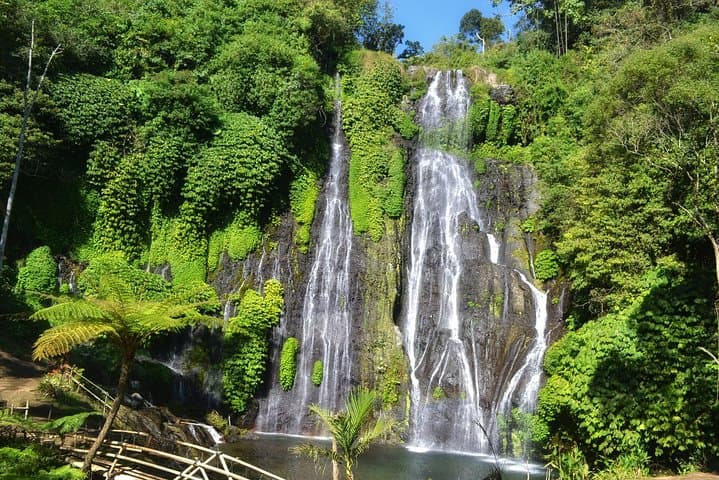 North Bali Waterfalls & Jatiluwih Rice Terrace Private Tour — photo 1 of 7
