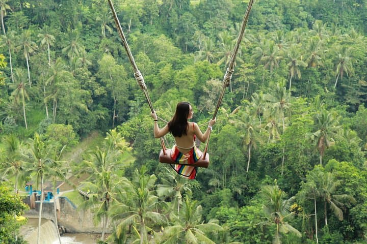 Ubud Private Tours with Jungle Swing Experience - all inclusive — photo 1 of 29