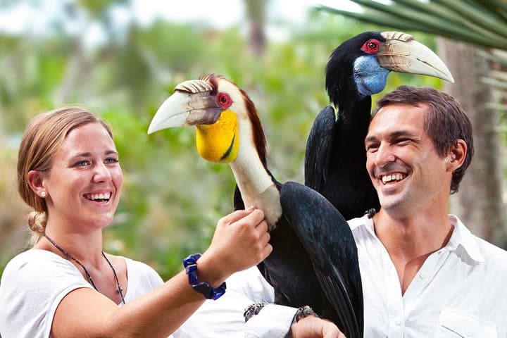 Bali Bird Park Entrance Tickets — photo 1 of 9