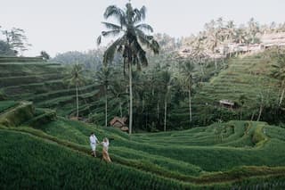 Private Photo Session with a Local Photographer in Ubud