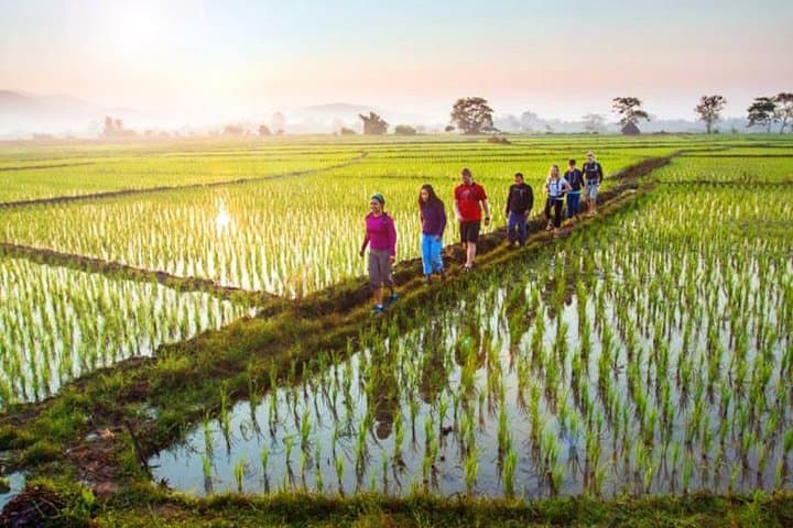 Bali Sambangan Waterfall, Rice Field, Secret Garden Tour — photo 1 of 9