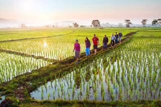 Bali Sambangan Waterfall, Rice Field, Secret Garden Tour