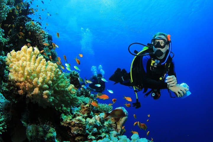 Menjangan Island Bali Diving Activity — photo 1 of 14