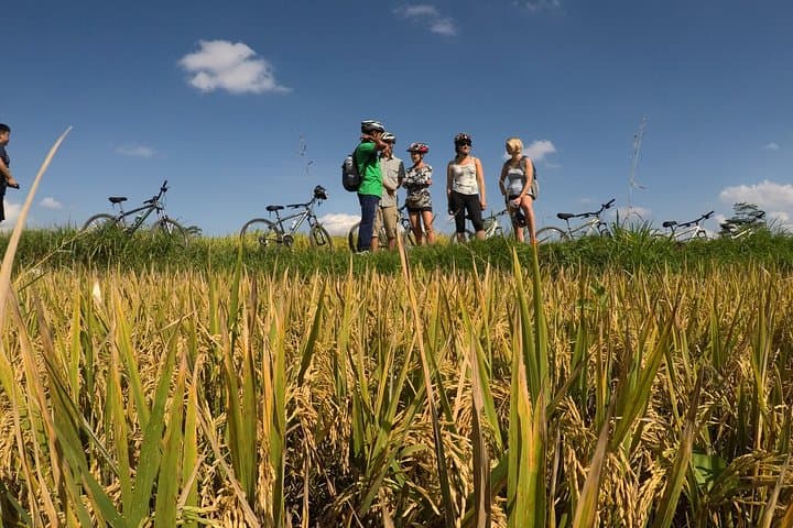 Explore Ubud with Electric Bike — photo 1 of 6