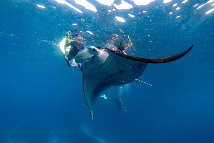 Nusa Penida Snorkeling Adventure (Private & All-Inclusive) — photo 1 of 19