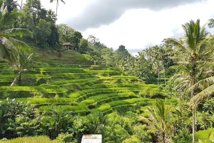 Bali Island Tour with Lunch — photo 1 of 11
