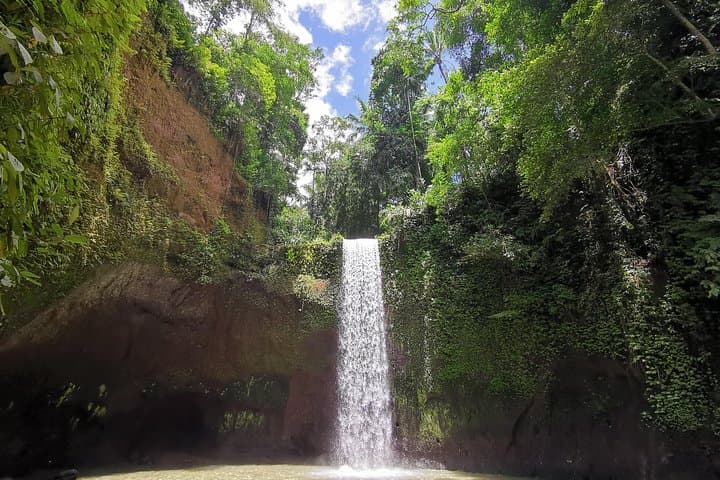 Ubud Village, Tegalalang Rice Terrace Swing, Tirta Empul Temple and Waterfafall — photo 1 of 9