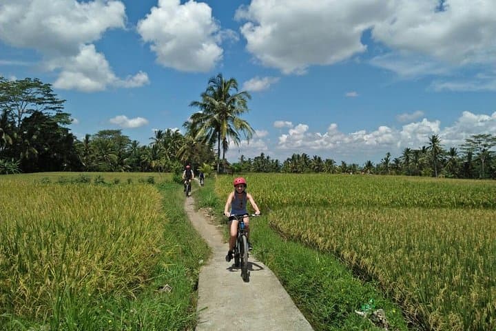 Ubud Eco Culture Cycling Exploration — photo 1 of 8