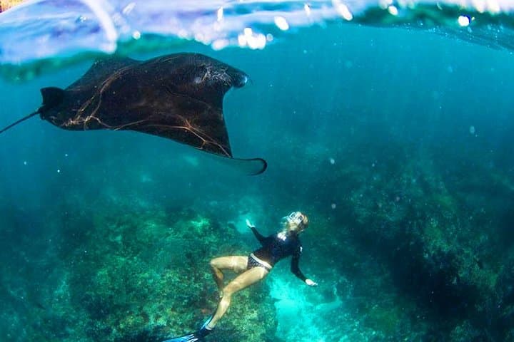 Nusa Penida Snorkeling & Kelingking Tour — photo 1 of 3